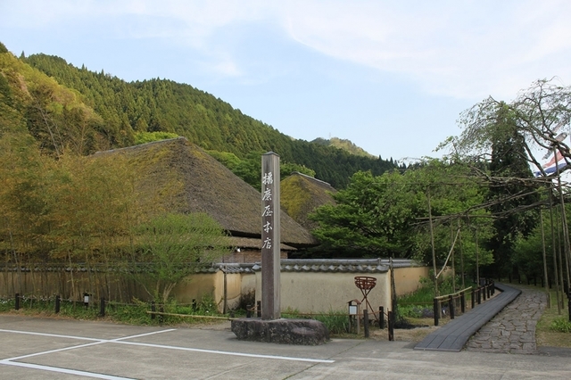 1043.jpg