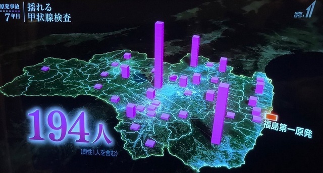 3558.jpg