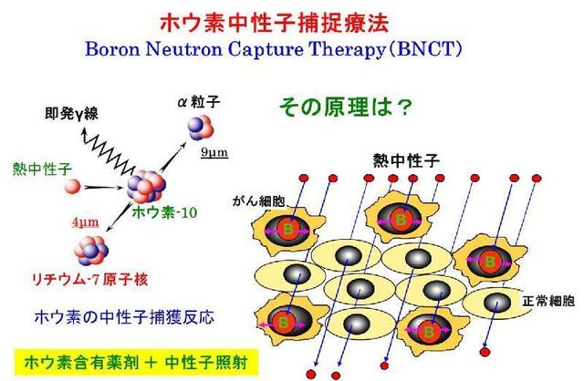 Boron%20Newtron%20Capture%20reaction%206.jpg