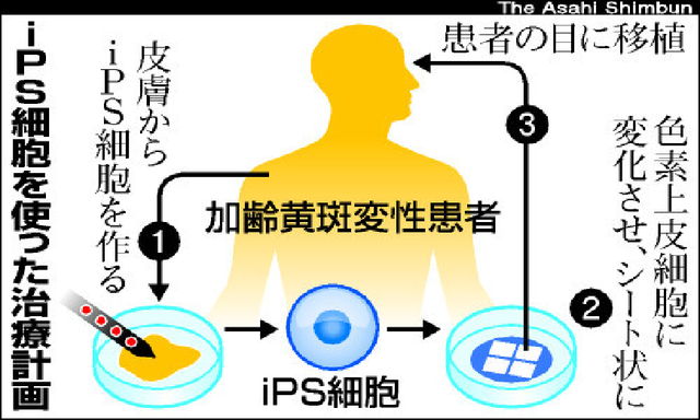 無題.png