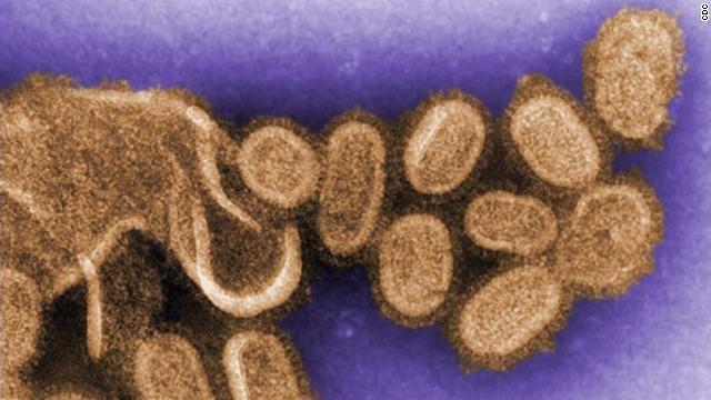 cdc-flu-virus-story.jpg