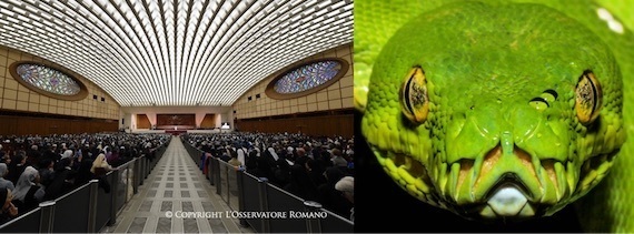hall-and-snake.jpg