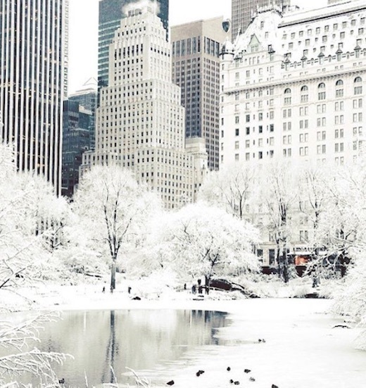 neryork-in-white.jpg