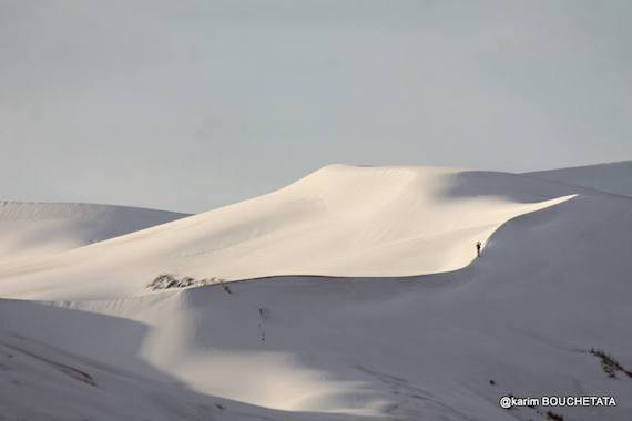sahara-snow-white.jpg